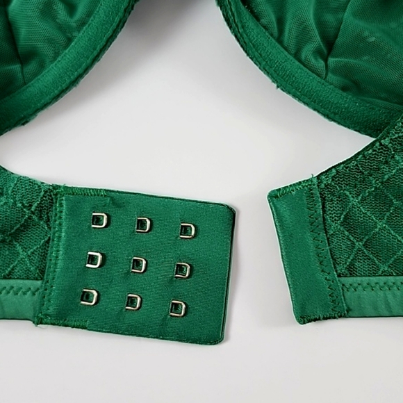 ⭐️2/ $30⭐️ Aerie Green Lace Bra Rose Gold Hardware Size 34DD - Picture 4 of 8